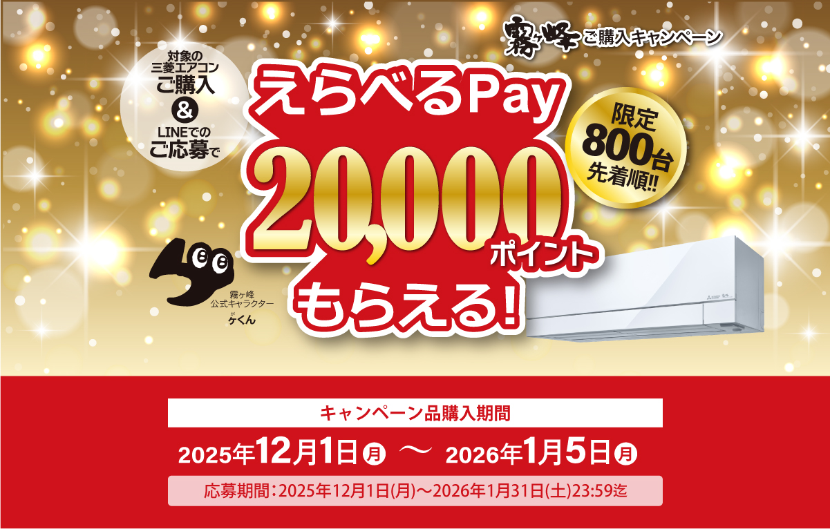 えらべるPay2万ptプレゼント